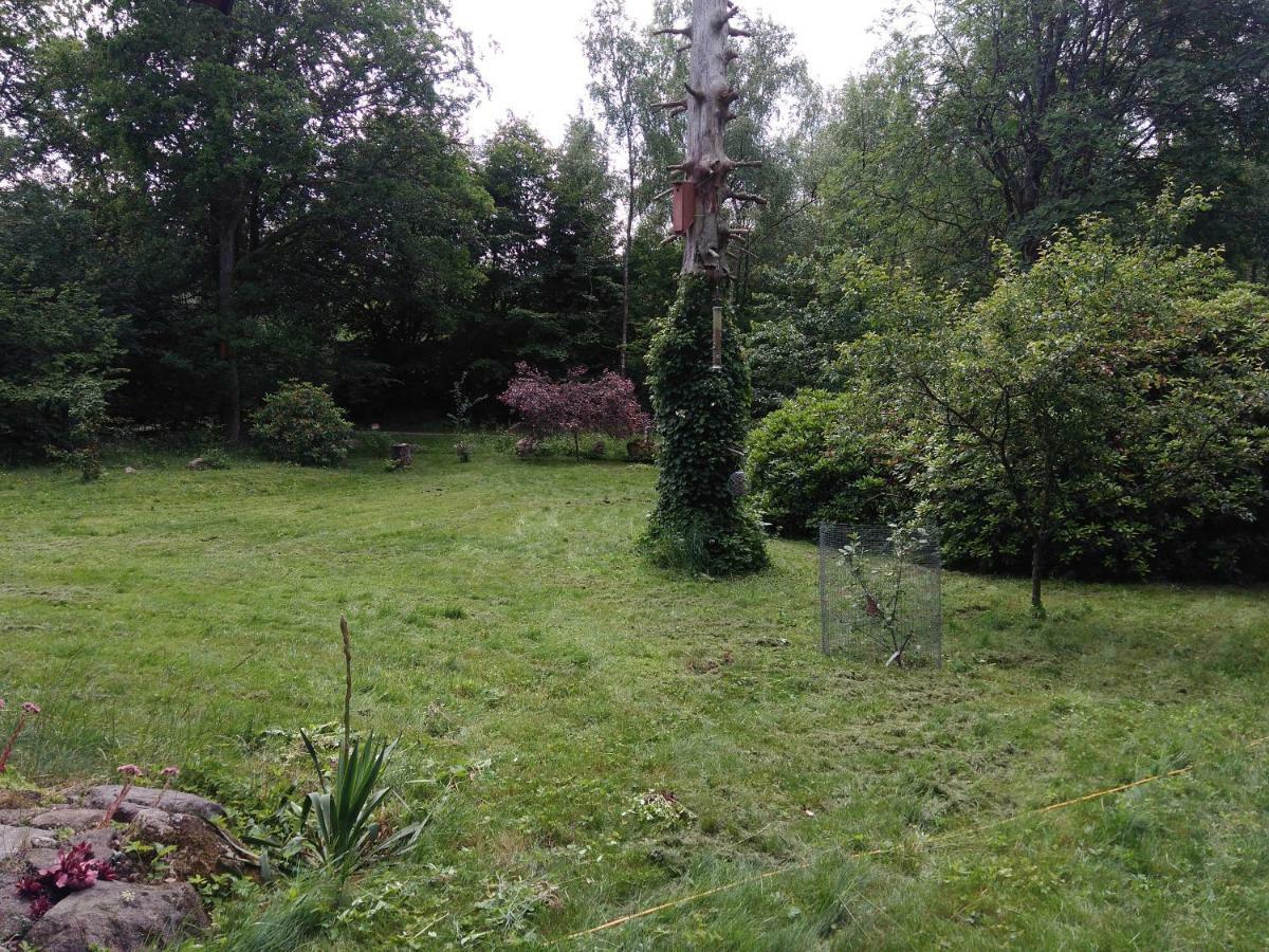 Pusterummet, Klaveroed Klaverod Экстерьер фото